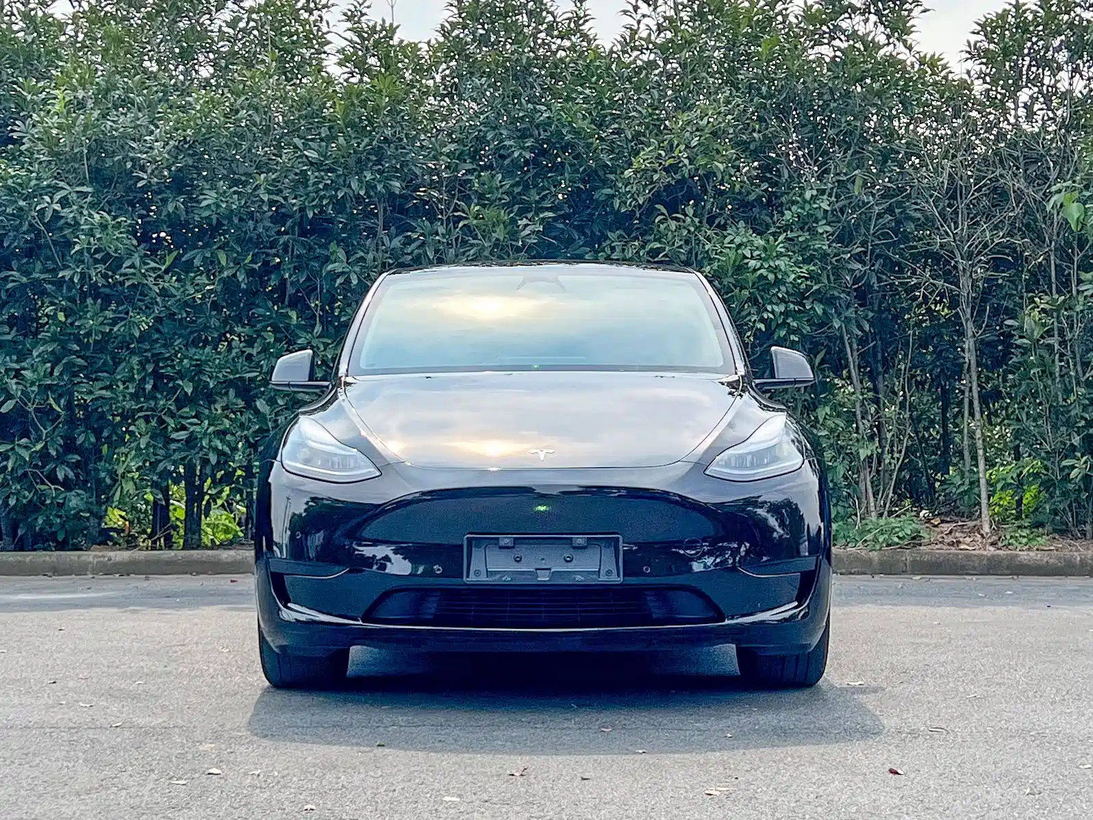 Фото 2 - Tesla Model Y
