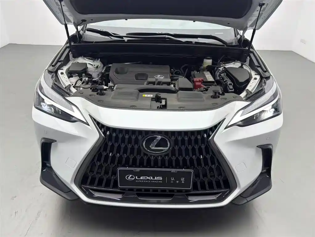 Lexus NX 2025 Model 200 Base Version фото 3