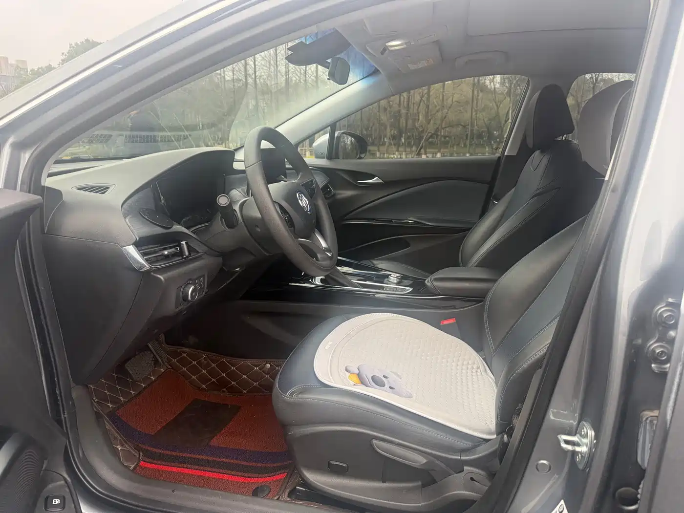 BUICK SLIGHTLY BLUE 6