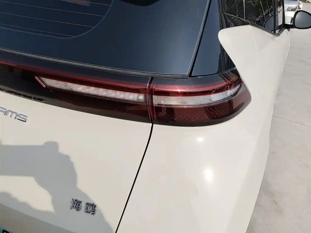 BYD Seagull 2024 Glory Edition 305km Vitality Edition фото 8