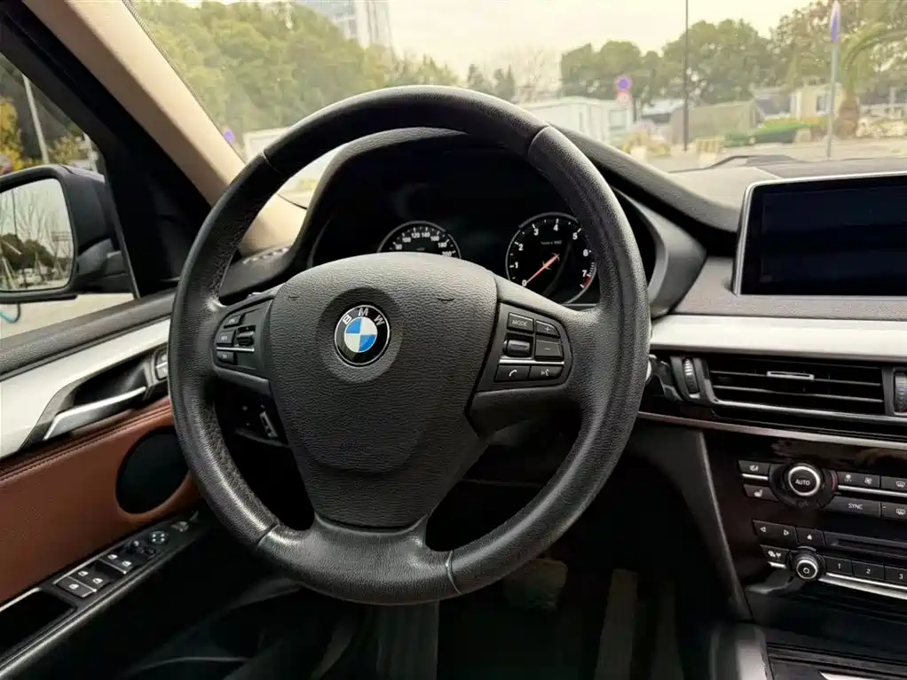 BMW X5 (Import) 2017 xDrive35i Elegance фото 15