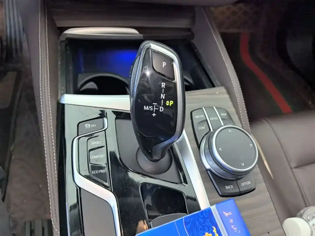 BMW 5 Series 2020 530Li Leading Luxury Package фото 14