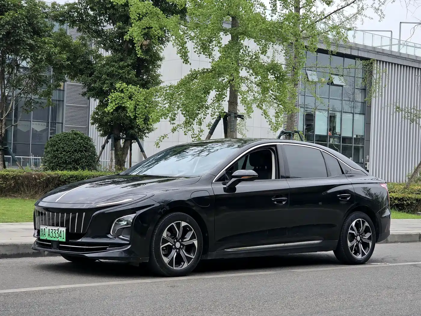 Hongqi E-QM5 2021 Charging Flag Premium Edition