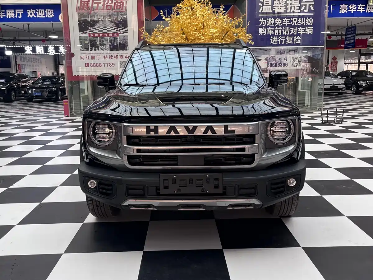 Haval Big Dog 2024 1.5T DCT Border Collie Edition фото 2