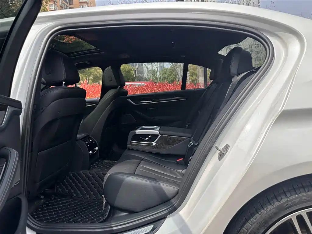 BMW 5 Series 2018 530Li Premium M Sport Package фото 12