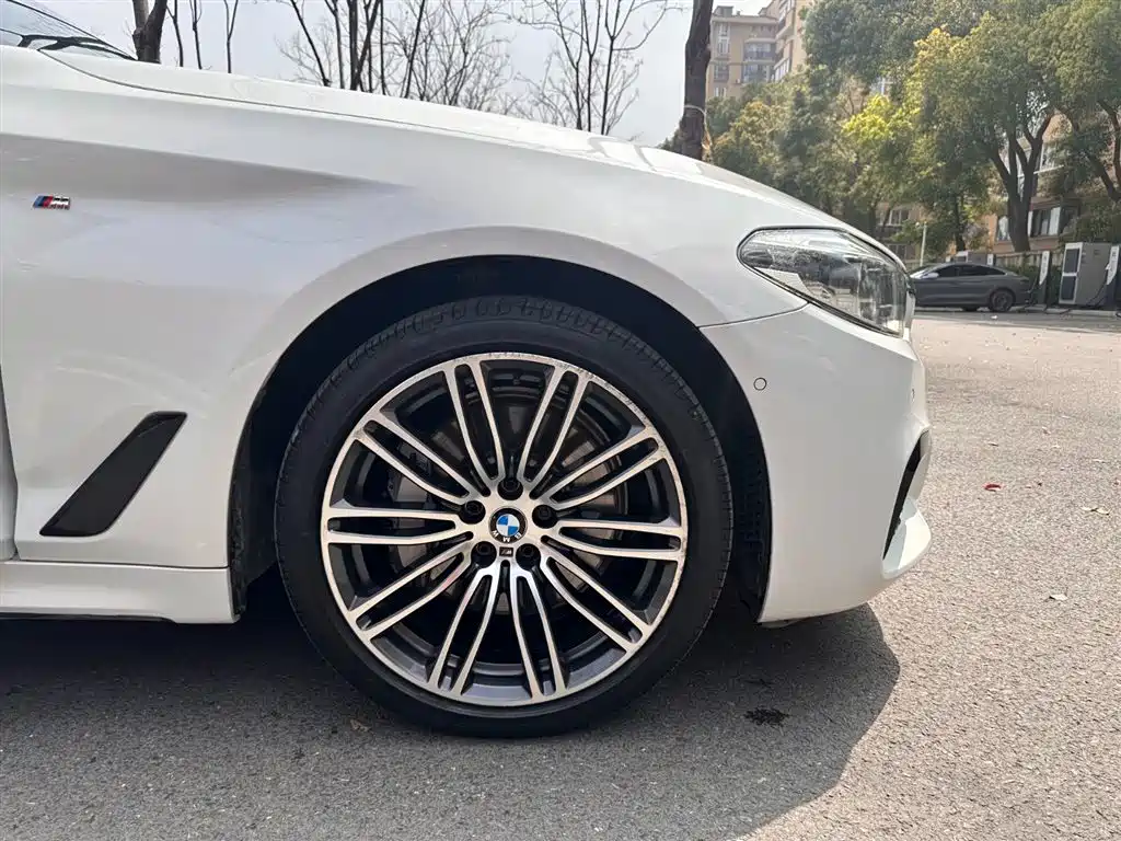 BMW 5 Series 2018 530Li Premium M Sport Package фото 16