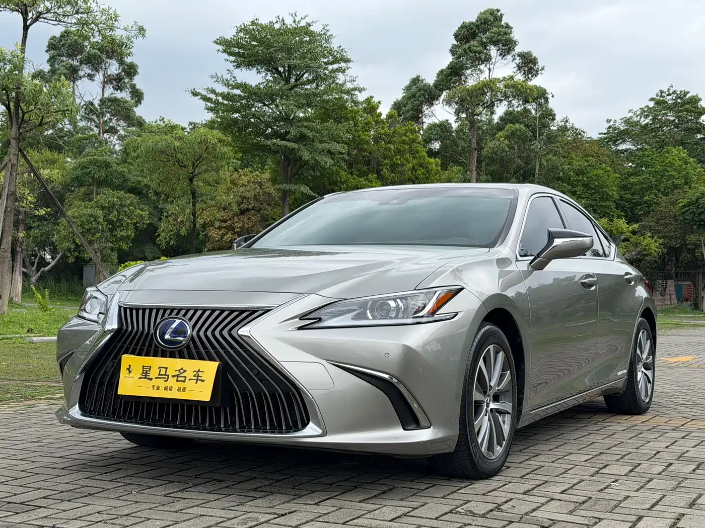 Lexus ES 2018 300h Excellence Edition China V