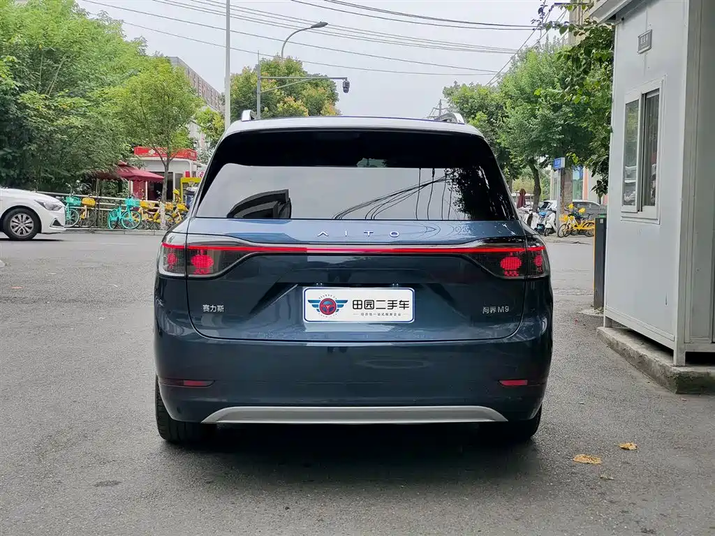 AITO Wenjie AITO M9 2024 Extended Range Ultra 42kWh 6-Seater фото 5