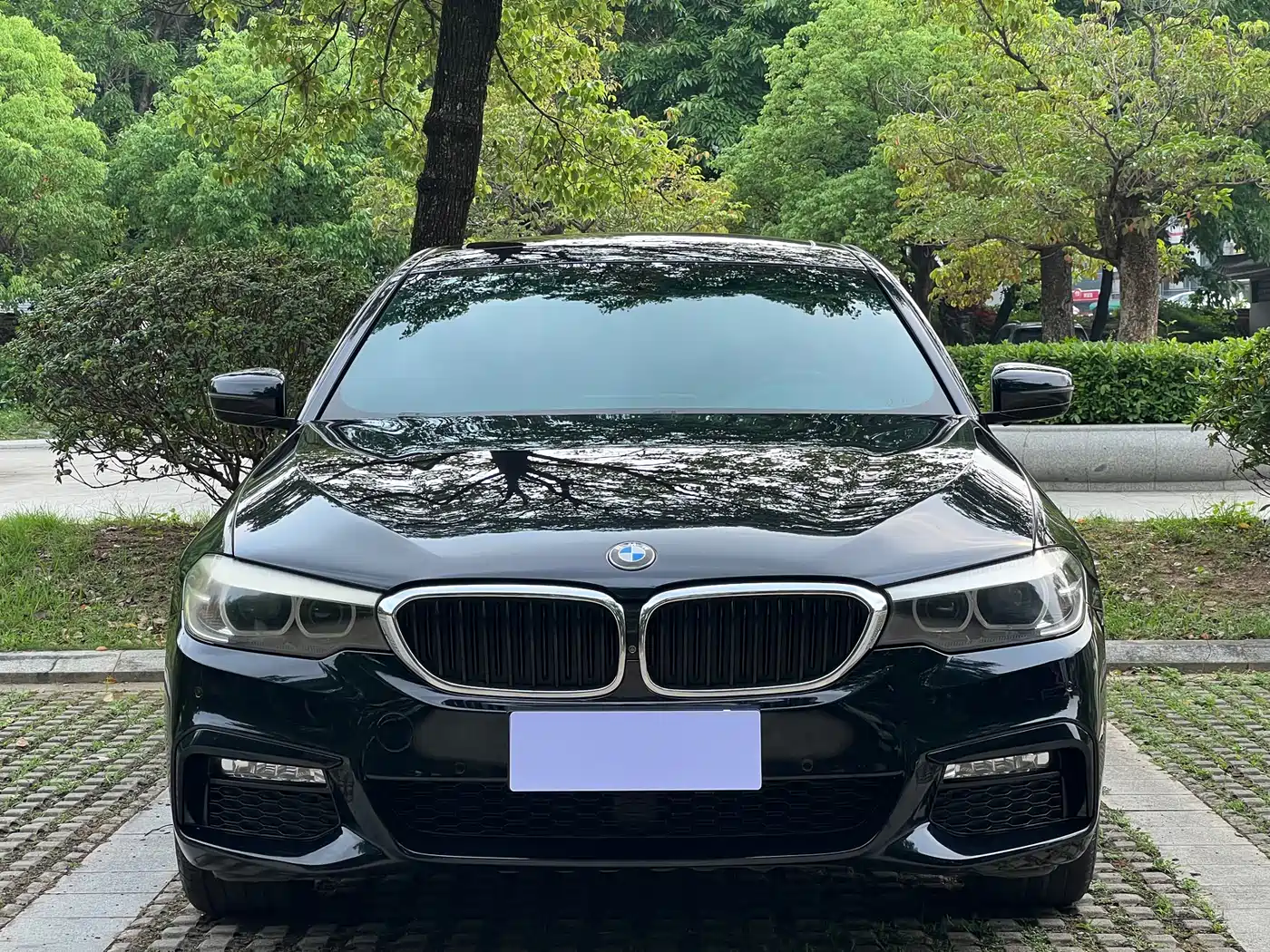 BMW 5 Series 2018 530Li xDrive M Sport Package фото 3