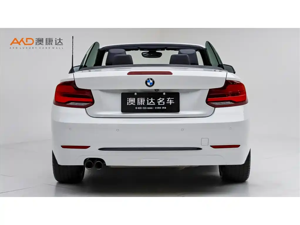 BMW 2 Series (Import) 2019 225i Convertible Coupe Sport Design Package фото 4