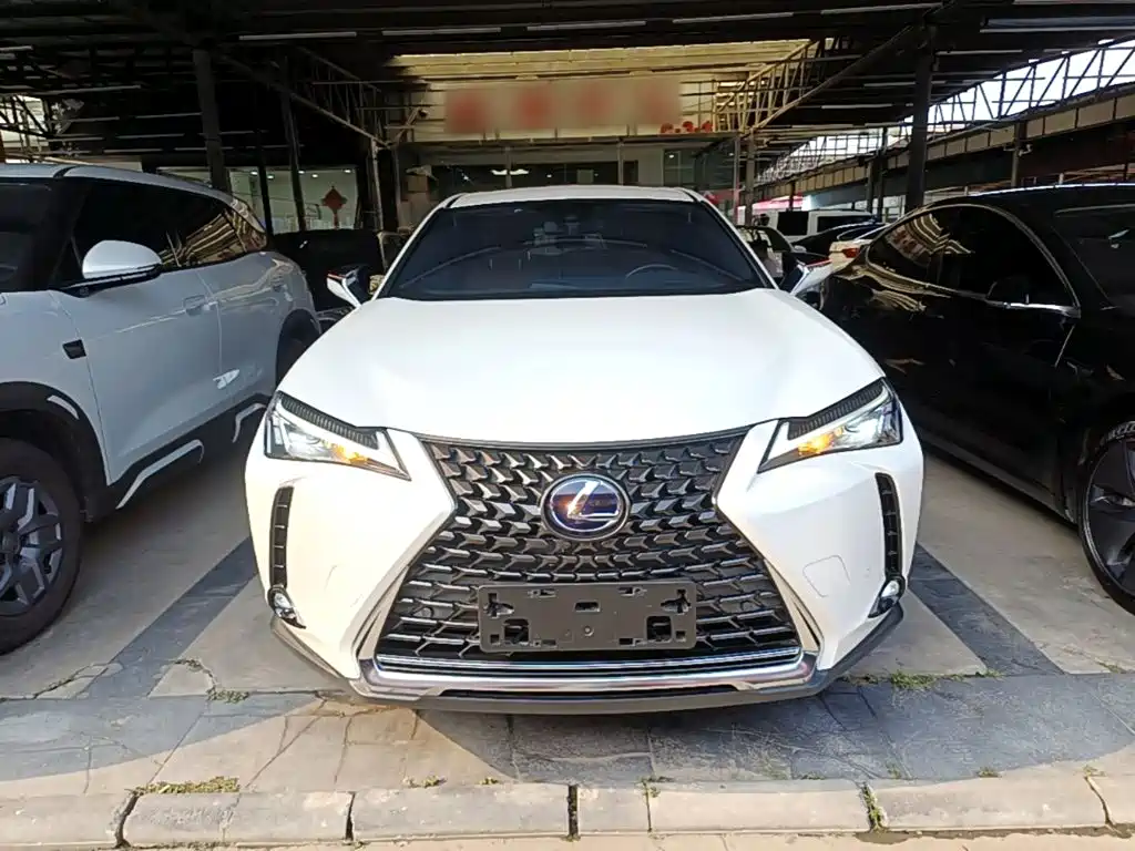 Lexus UX 2021 2020 260h Explore Fun Edition