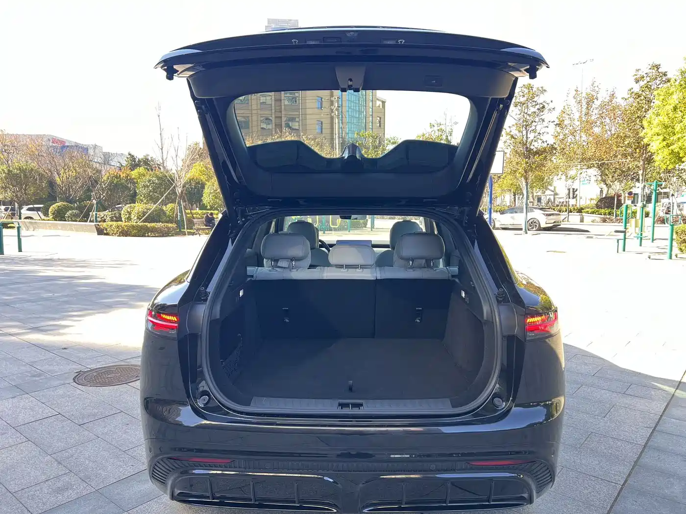Voyah Auto Voyah Zhiyin 2024 Long Range Smart Edition фото 8