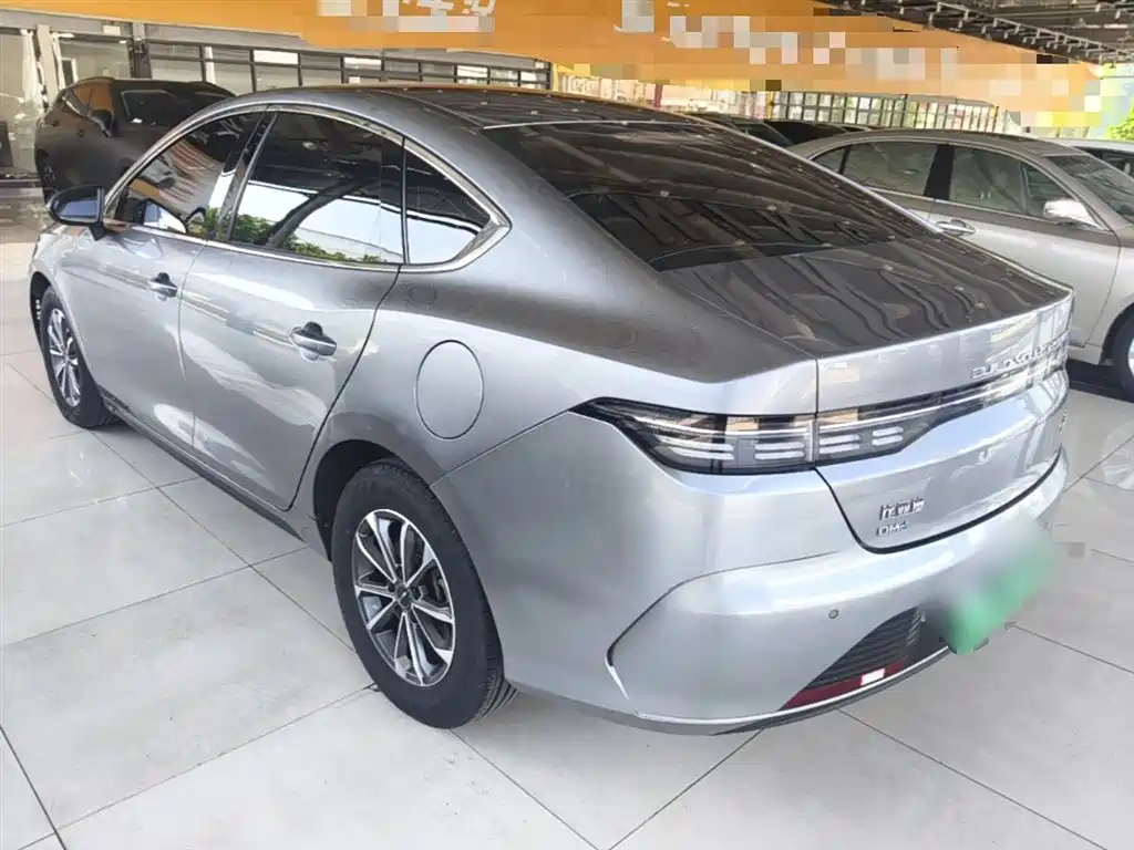 BYD Destroyer 05 2023 Champion Edition DM-i 55KM Luxury фото 5