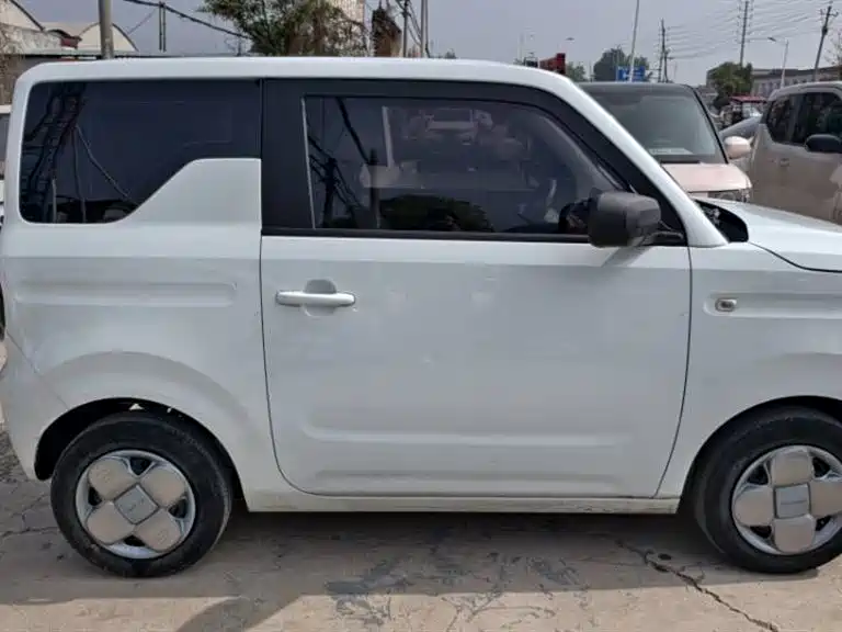 Geely Galaxy Panda 2023 Panda Mini 200km Endurance Bear фото 7