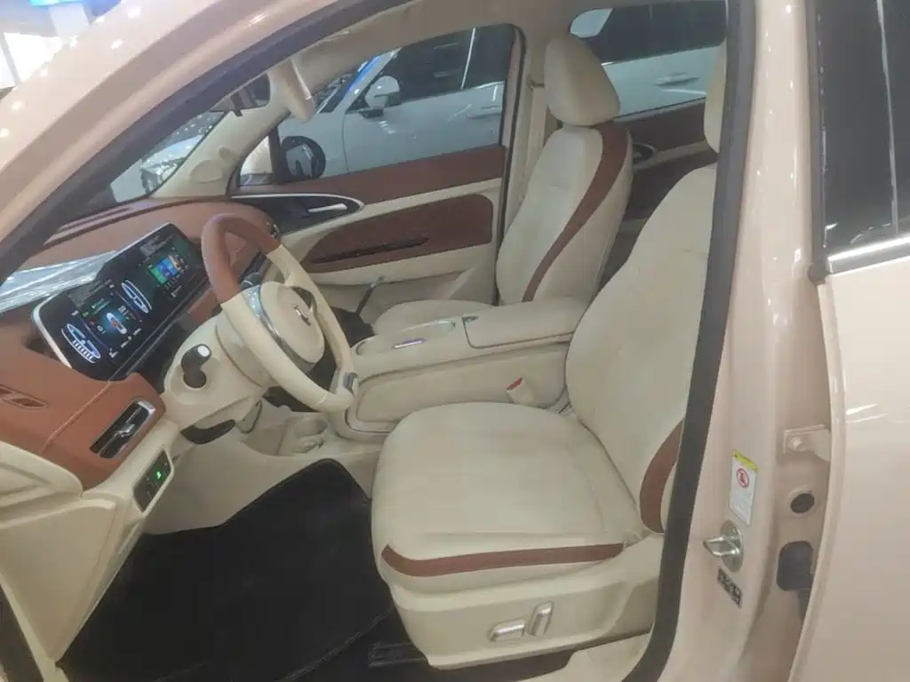 Ora Good Cat 2024 2023 401km Standard Range Luxury LFP