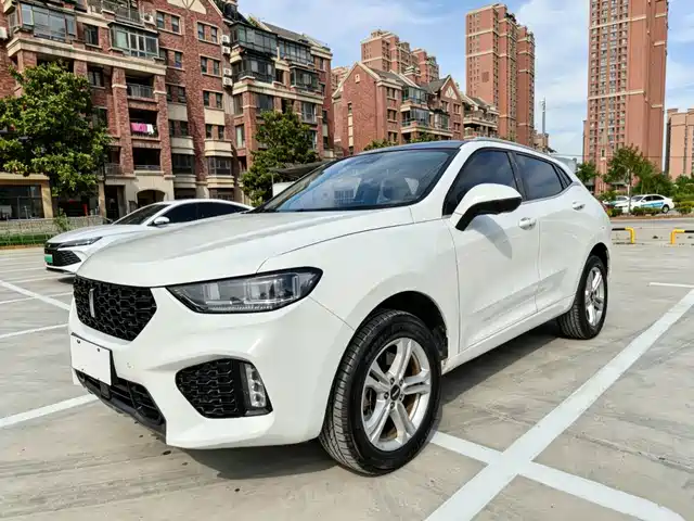 WEI PAI WEI BRAND VV5