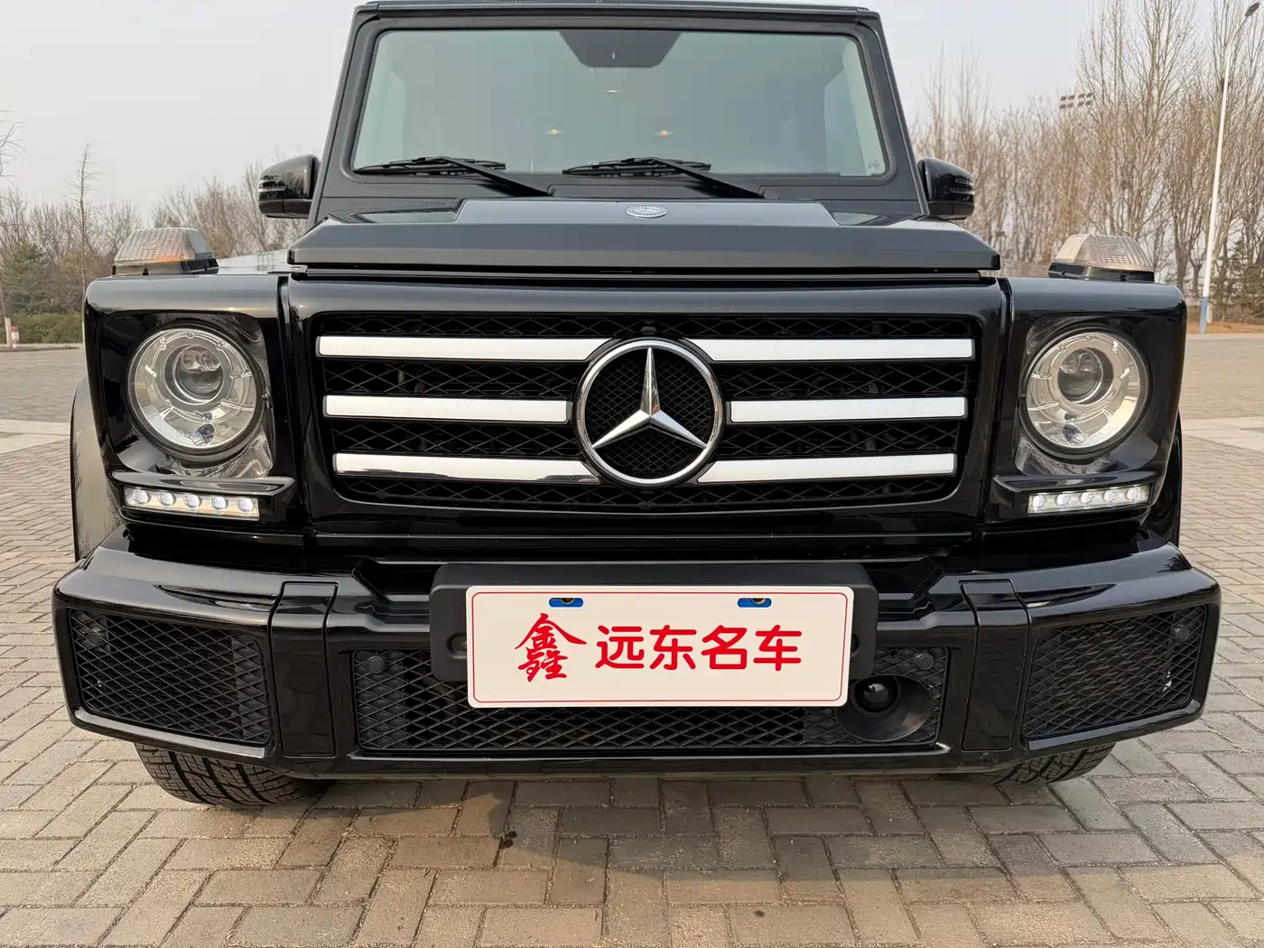 Mercedes-Benz G-Class 2016 G 500 фото 7