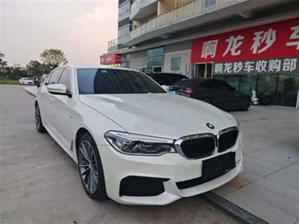 BMW 5 Series 2020 525Li M Sport Package фото 2