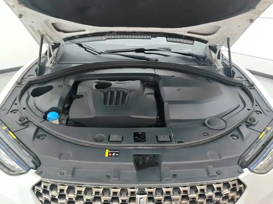 WEY Wei VV7 GT 2020 2020 2.0T Flagship