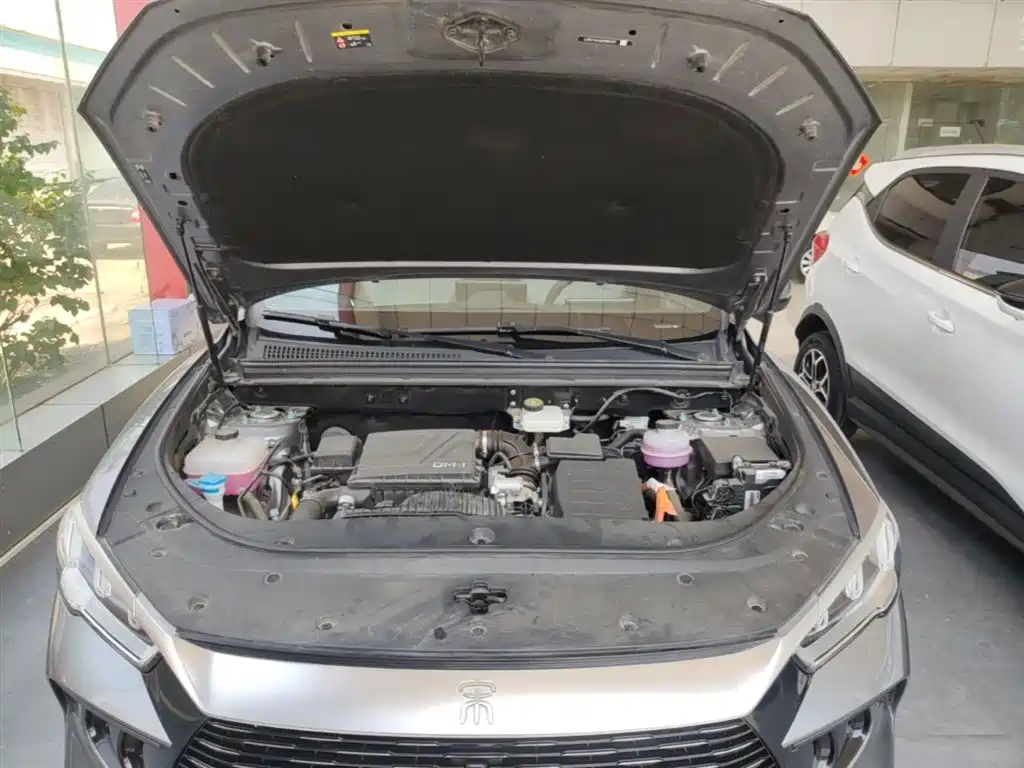 BYD Song Pro New Energy 2024 Glory Edition DM-i 71KM Pilot фото 20
