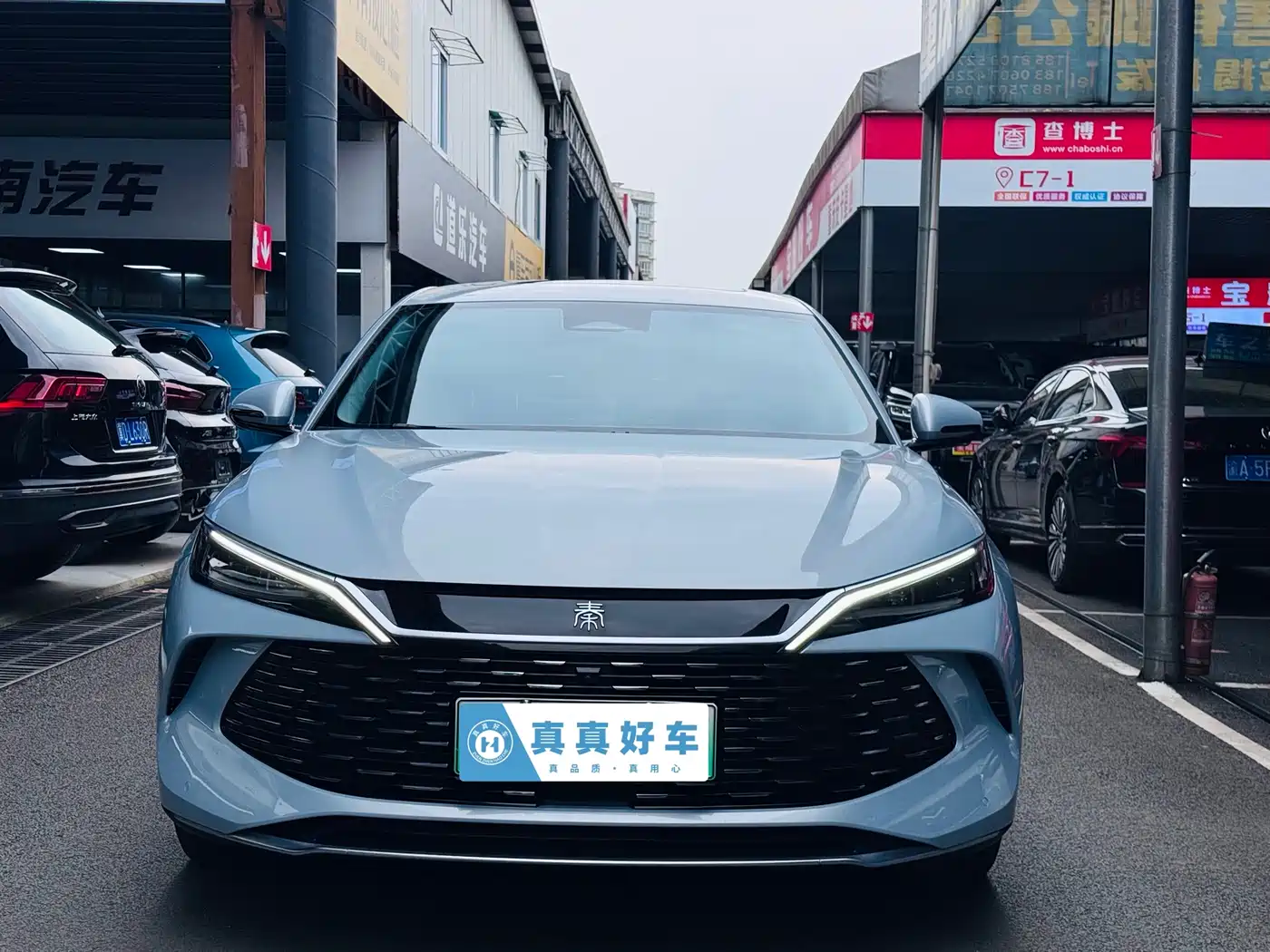 BYD Qin L 2024 DM-i 120KM Superior Edition фото 2
