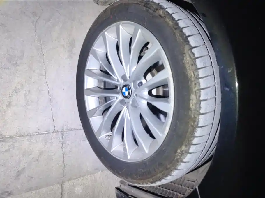 BMW 5 Series 2020 530Li Leading M Sport Package фото 6