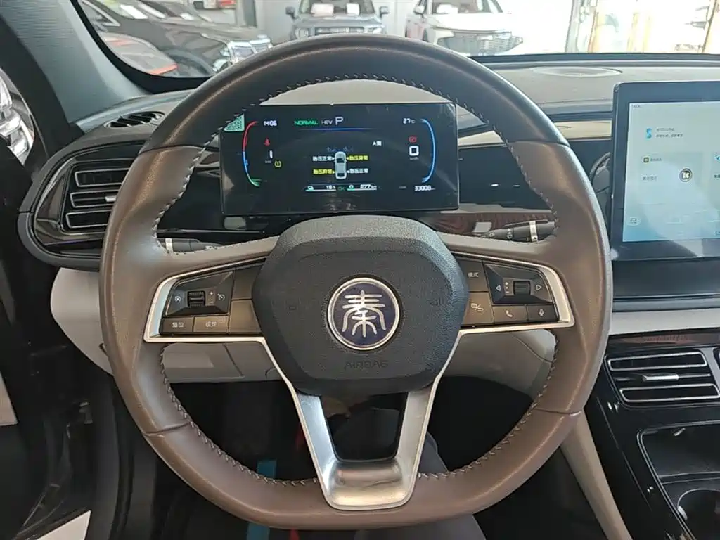 BYD Qin PLUS 2021 DM-i 55KM Premium фото 11