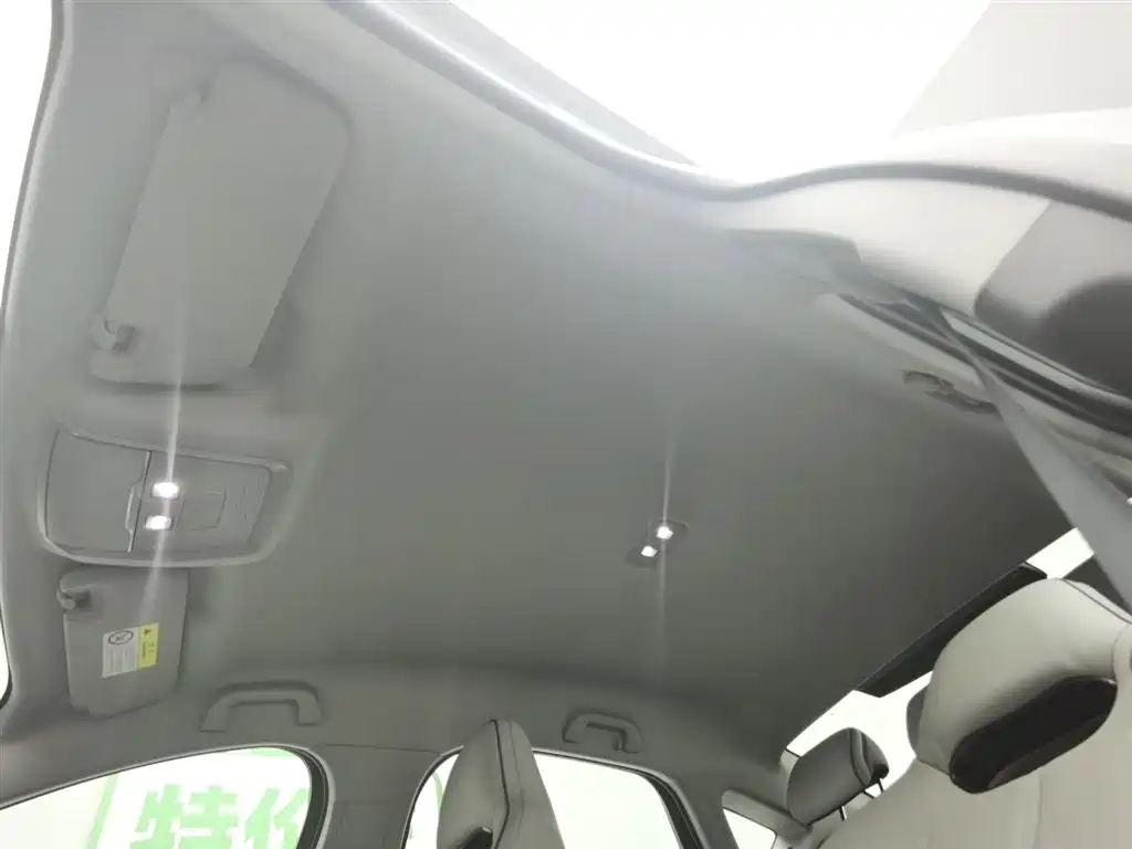 BYD Destroyer 05 2023 Champion Edition DM-i 55KM Luxury фото 14