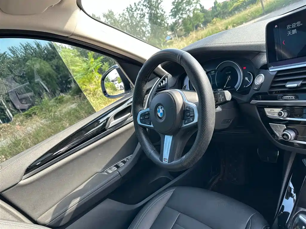 BMW X3 2018 xDrive25i M Sport Package China V фото 19