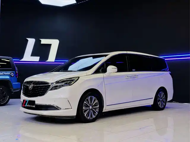 Buick GL8 ES Люкс, 653T, Флагман