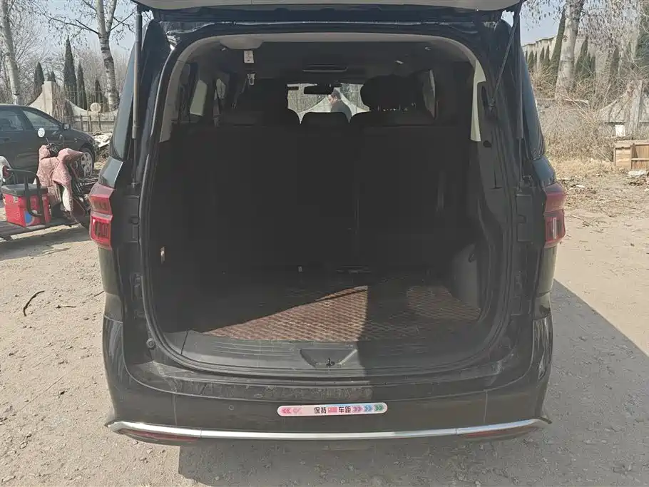 SAIC MAXUS CHASE G20