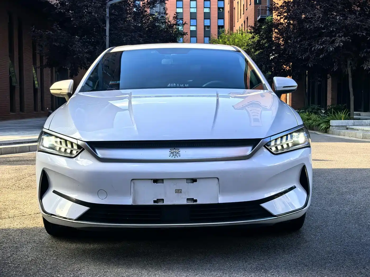 Фото 2 - BYD Qin PLUS
