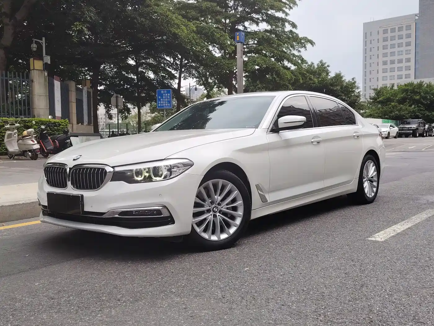 BMW 5 Series 2019 530Li Leading Luxury Package