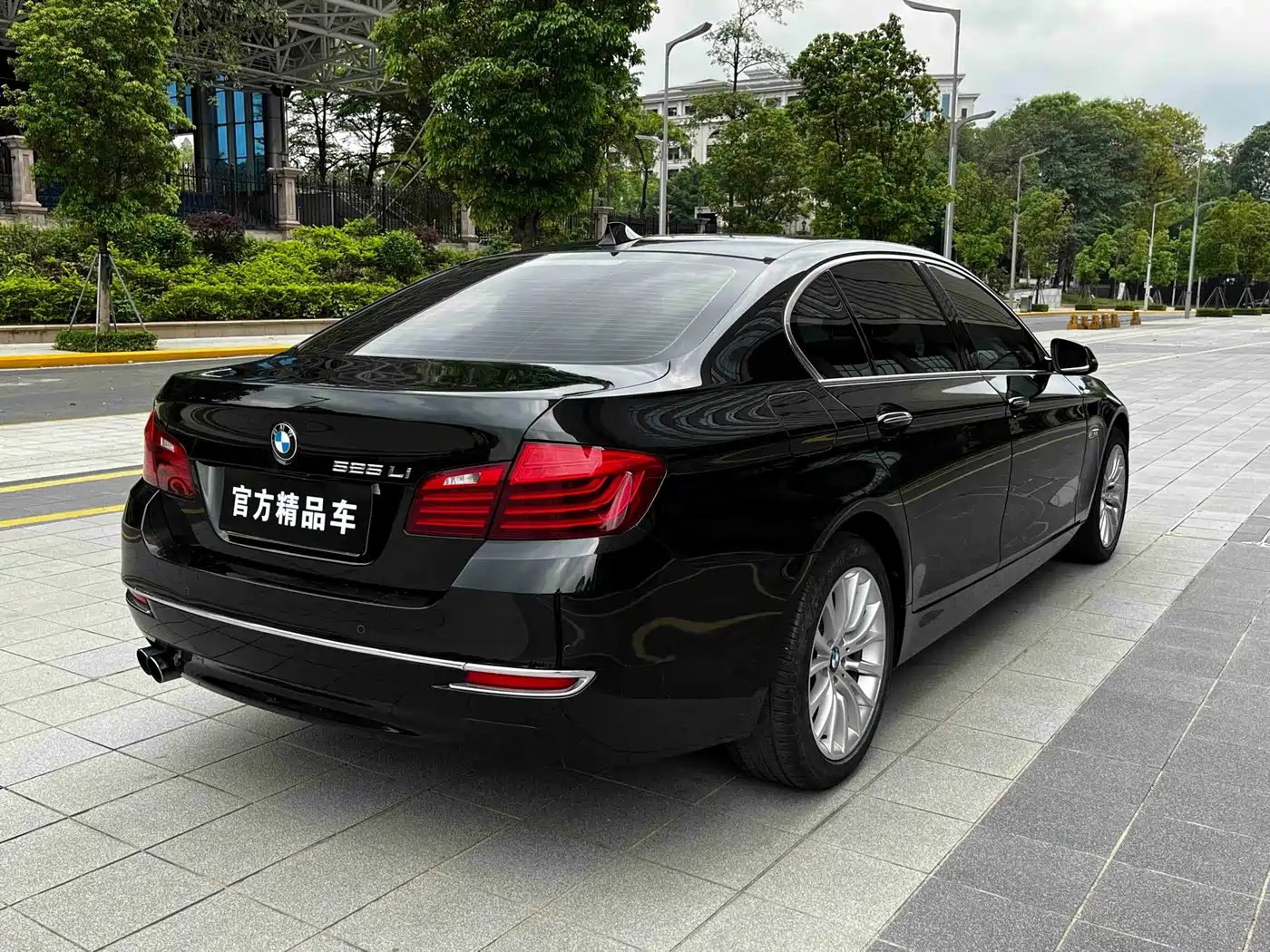 BMW 5 Series 2014 525Li Luxury Design Package фото 7