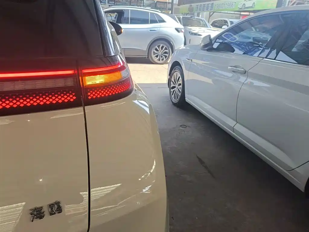 BYD Seagull 2024 Glory Edition 305km Vitality Edition фото 7