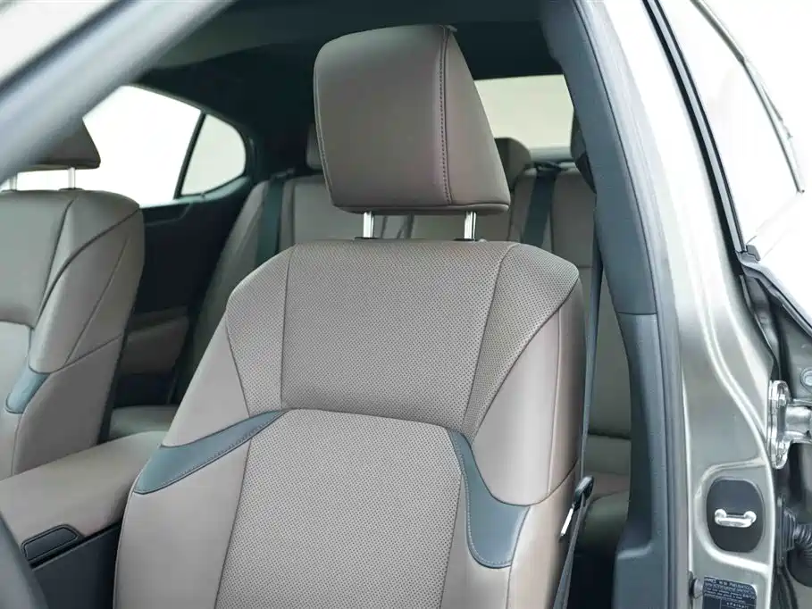 Lexus ES 2022 300h Excellence Edition фото 14