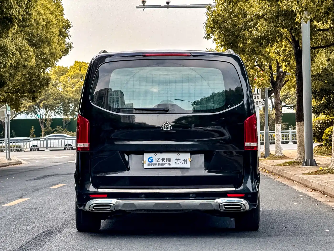Mercedes-Benz Vito 2020 2.0T Business Edition (7-seater) фото 38