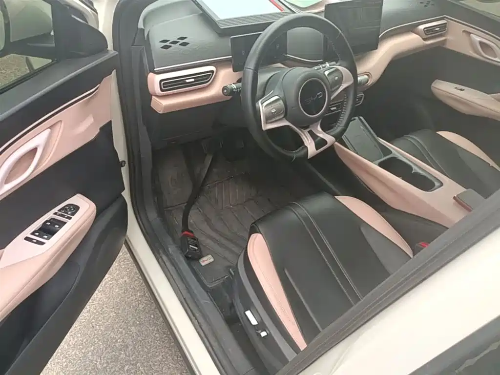 BYD Seagull 2024 Glory Edition 305km Freedom Edition фото 16