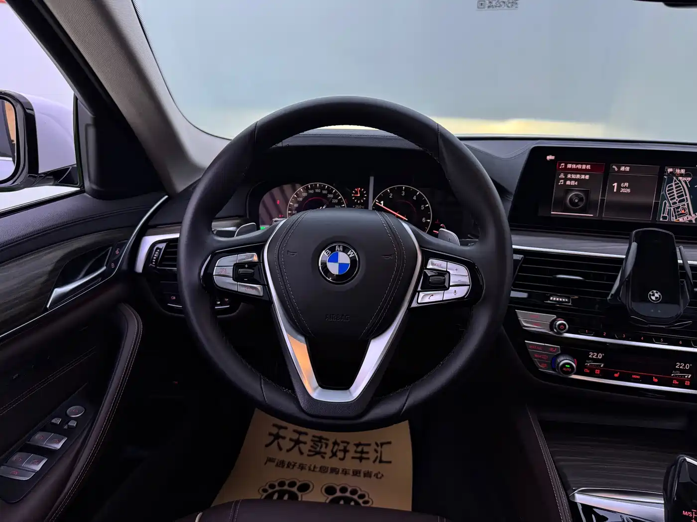 BMW 5 Series 2019 530Li Leading Luxury Package фото 10