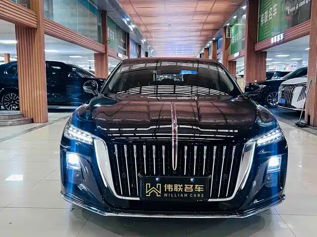 Hongqi H5 2025 1.5T DCT Flag Rhythm 500,000 Units Memorial Edition — фото 2