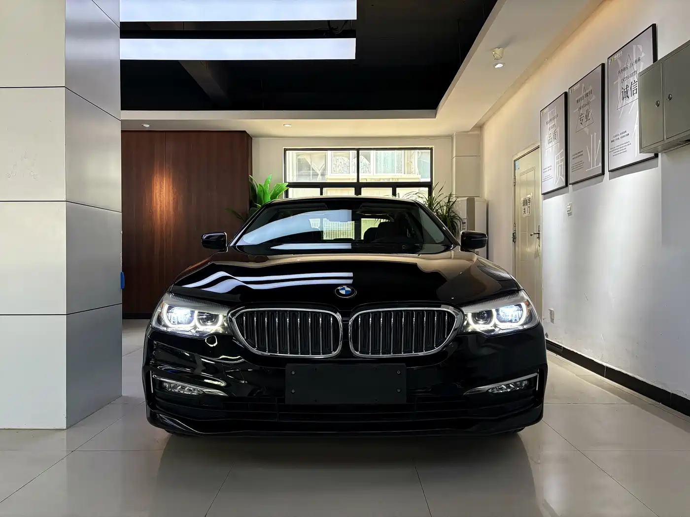 BMW 5 Series 2018 528Li Launch Special Edition фото 3