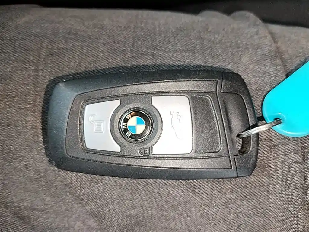 BMW 3 Series 2015 316i Progressive фото 17