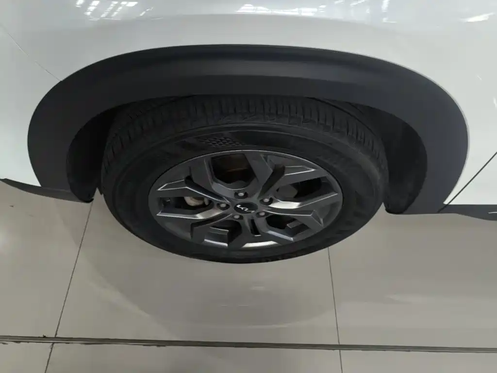Kia Seltos 2024 2023 1.5L CVT Luxury Edition