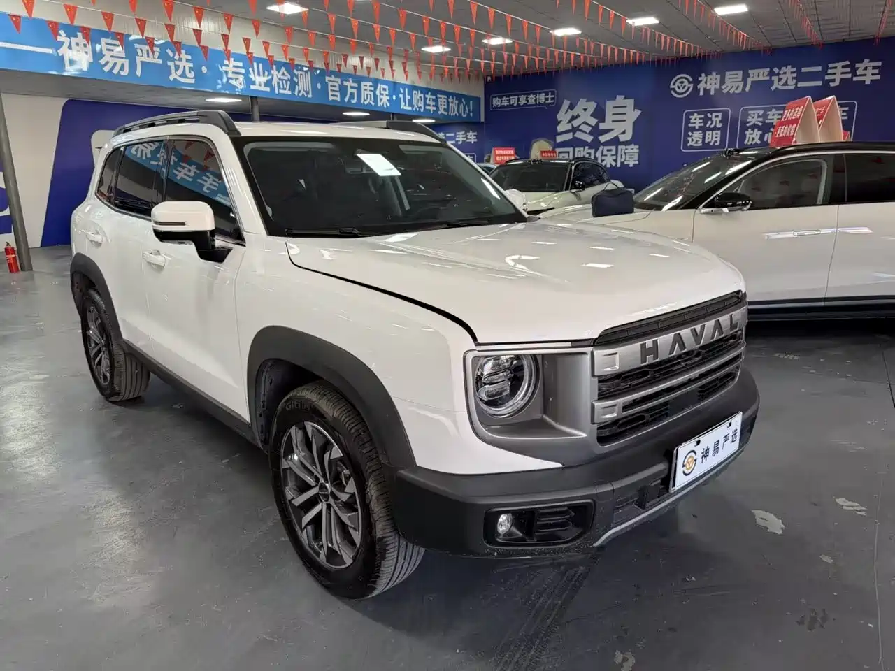 Haval Big Dog 2024 1.5T DCT Border Collie Edition фото 2