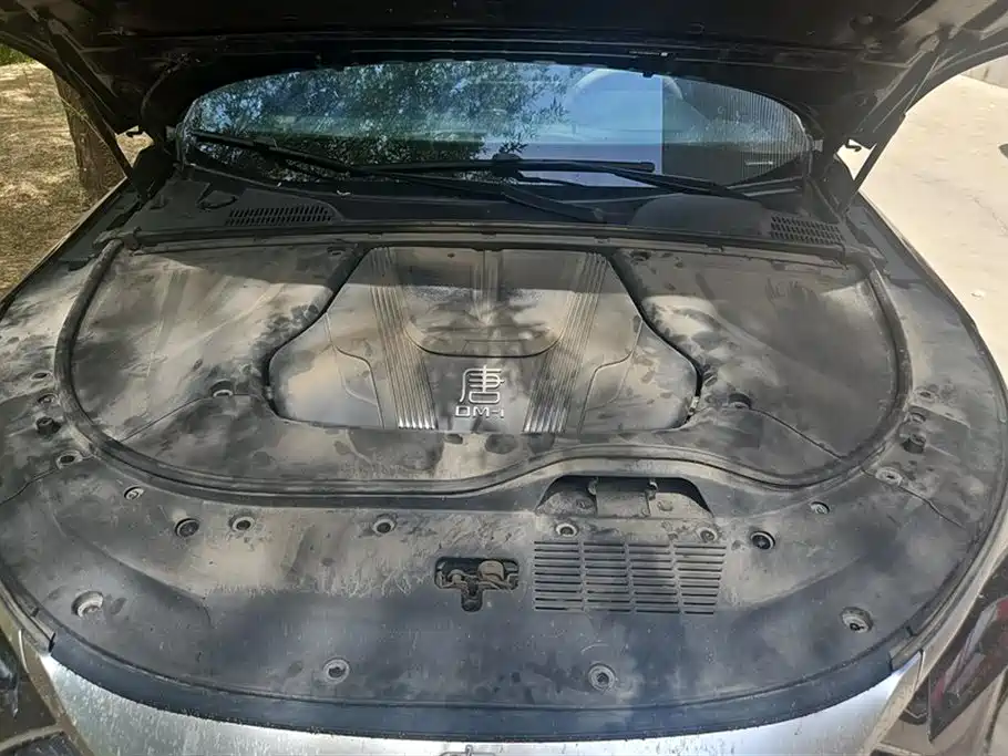 BYD Tang New Energy 2024 DM-i Honor Edition 112KM Premium фото 10