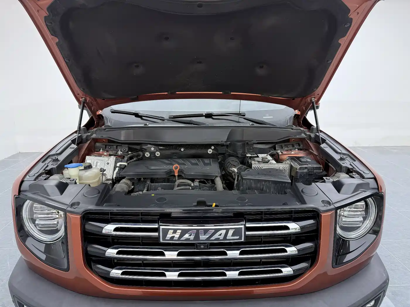 Haval Big Dog 2021 1.5T DCT 2WD Border Collie Edition фото 7