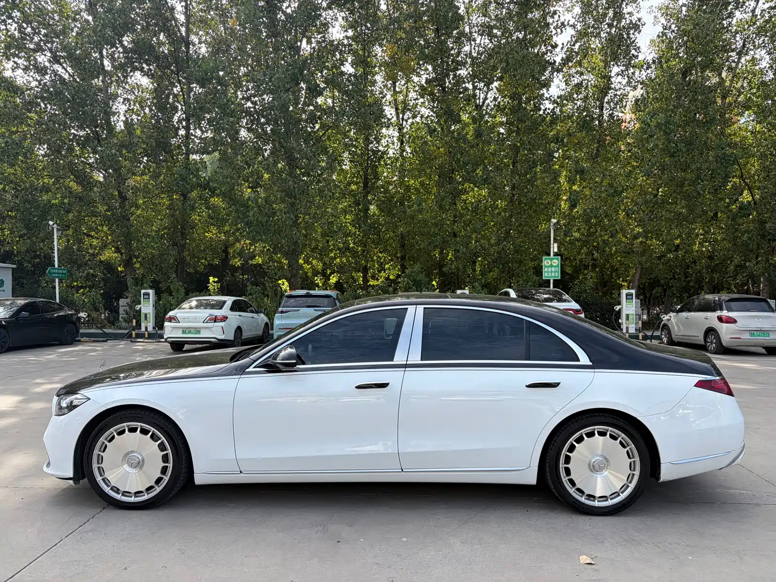صورة 3 - Mercedes-Benz S-Class
