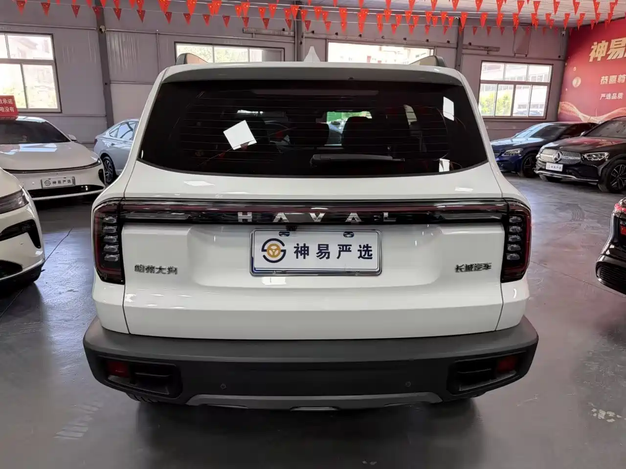 Haval Big Dog 2024 1.5T DCT Border Collie Edition фото 6