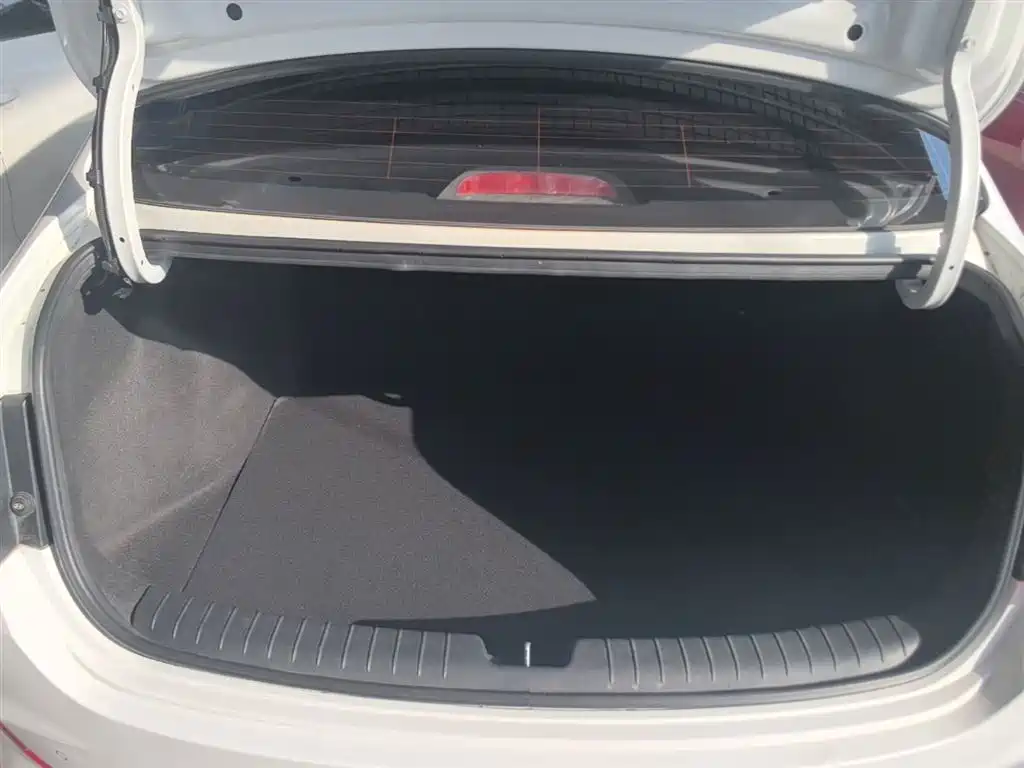 Hyundai Elantra 2018 1.6L Automatic Pleasing Edition GL China VI фото 19