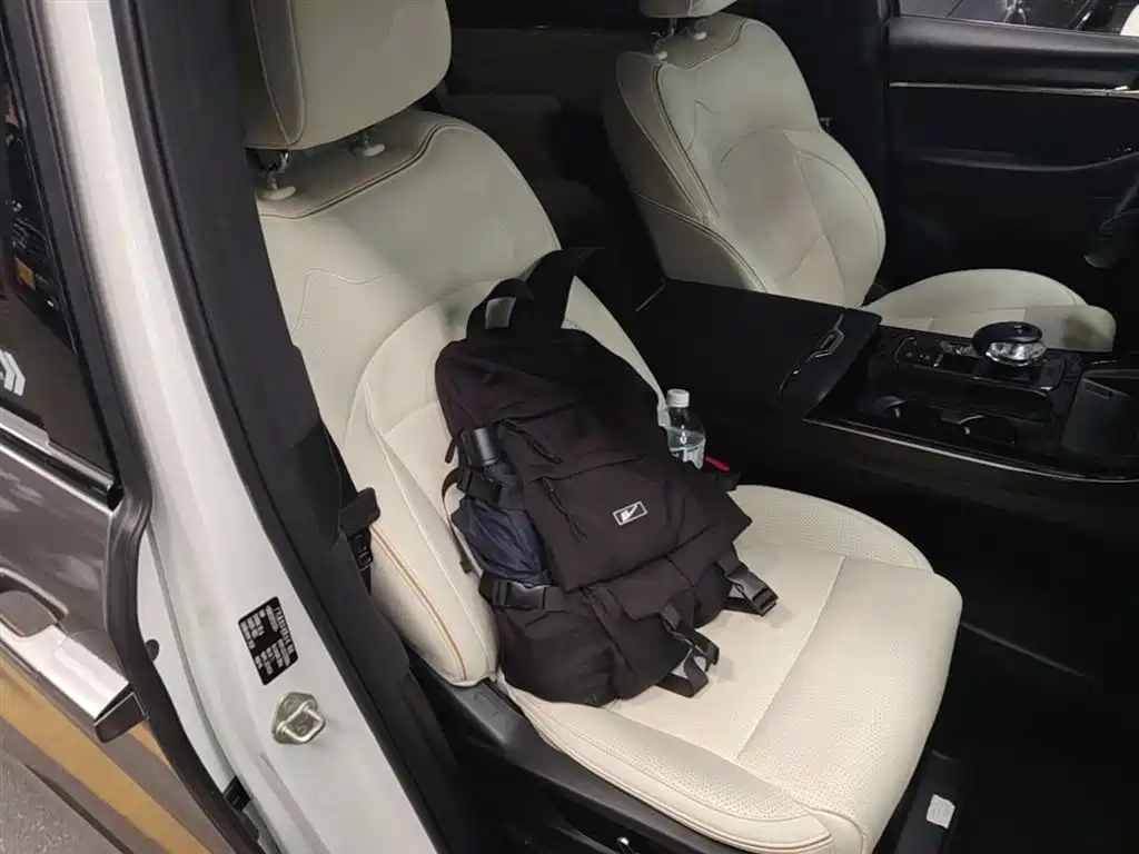 GAC Trumpchi Trumpchi M8 2023 Master Series Dual Hybrid Flagship Edition фото 25